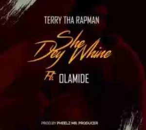Terry Tha Rapman - Obi (She Dey Whine) ft. Olamide